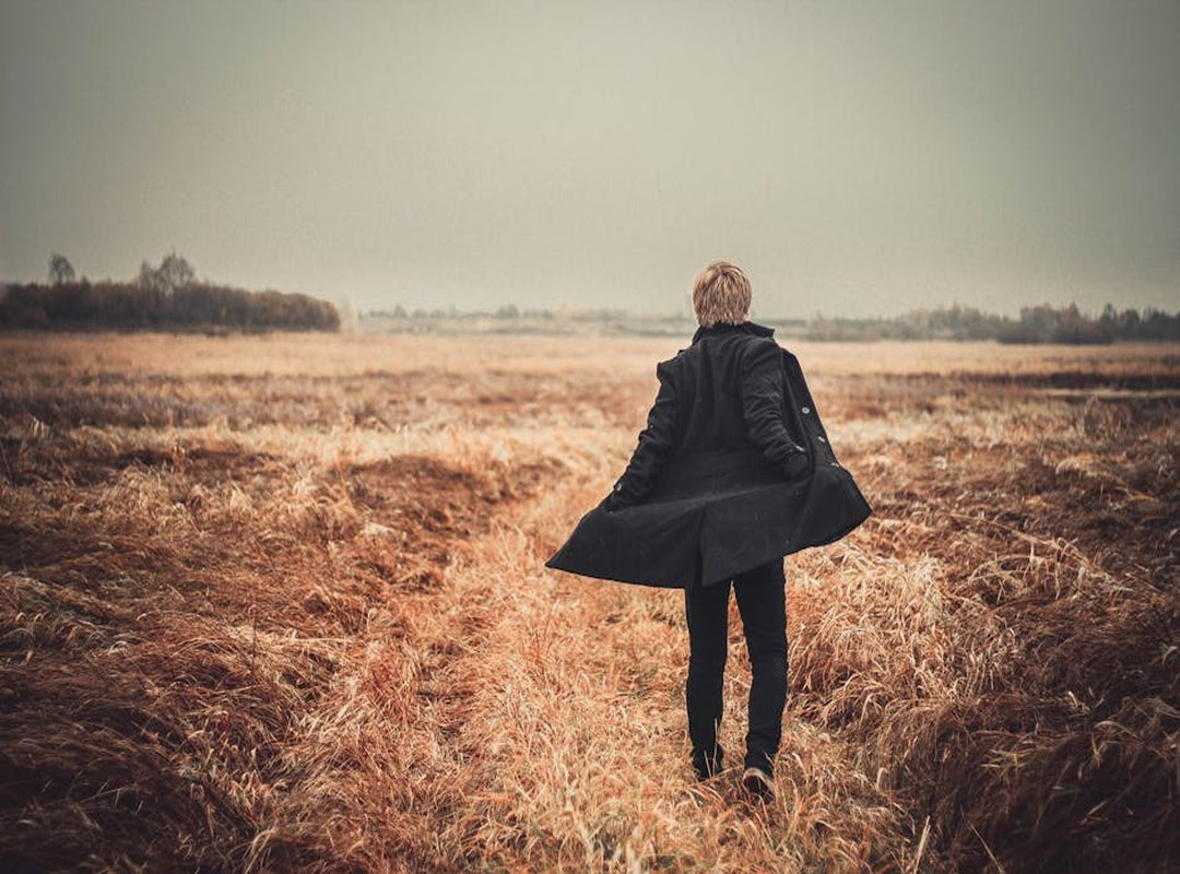 Information About Foxtpax Software