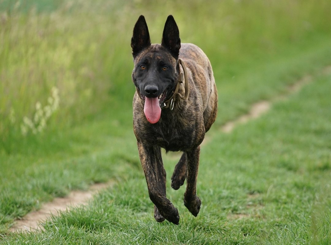 A Quick Guide to Finding the Headache Emoji on Any Device