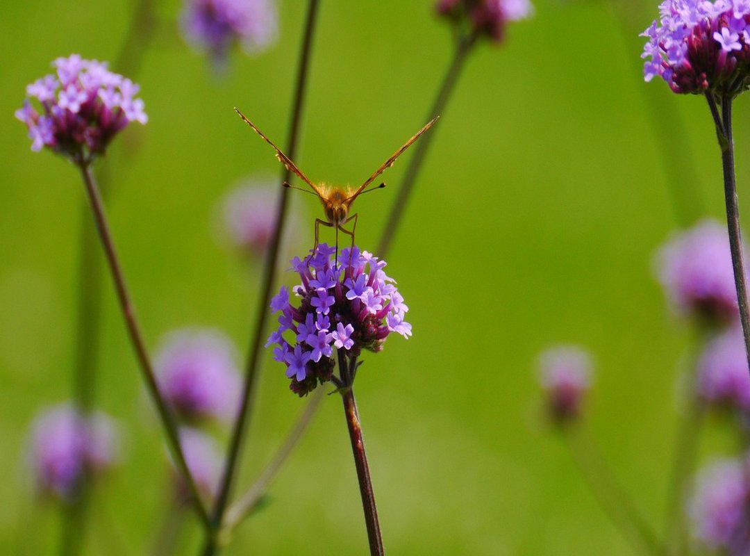 Important Considerations Before You Start Your Extreme Build