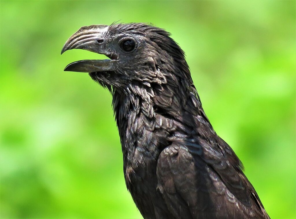 fete frumoase insta 15 ani