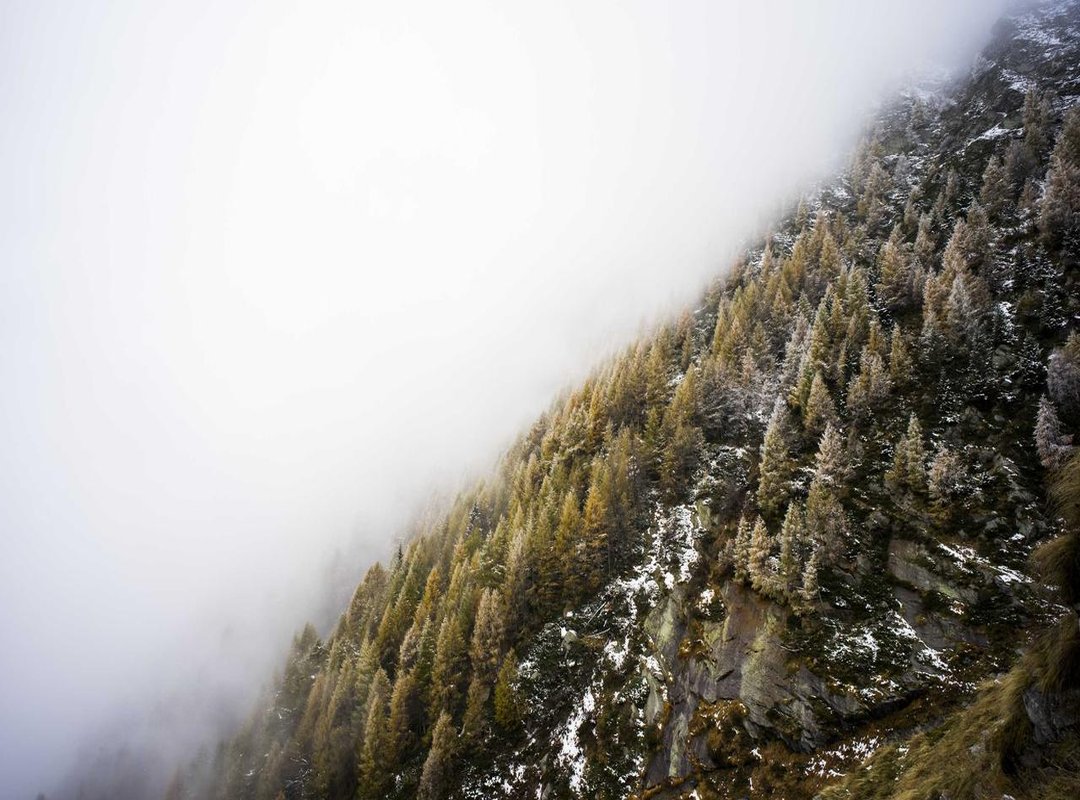 Correctly Installing the Driver on Your Computer (Windows & Mac)