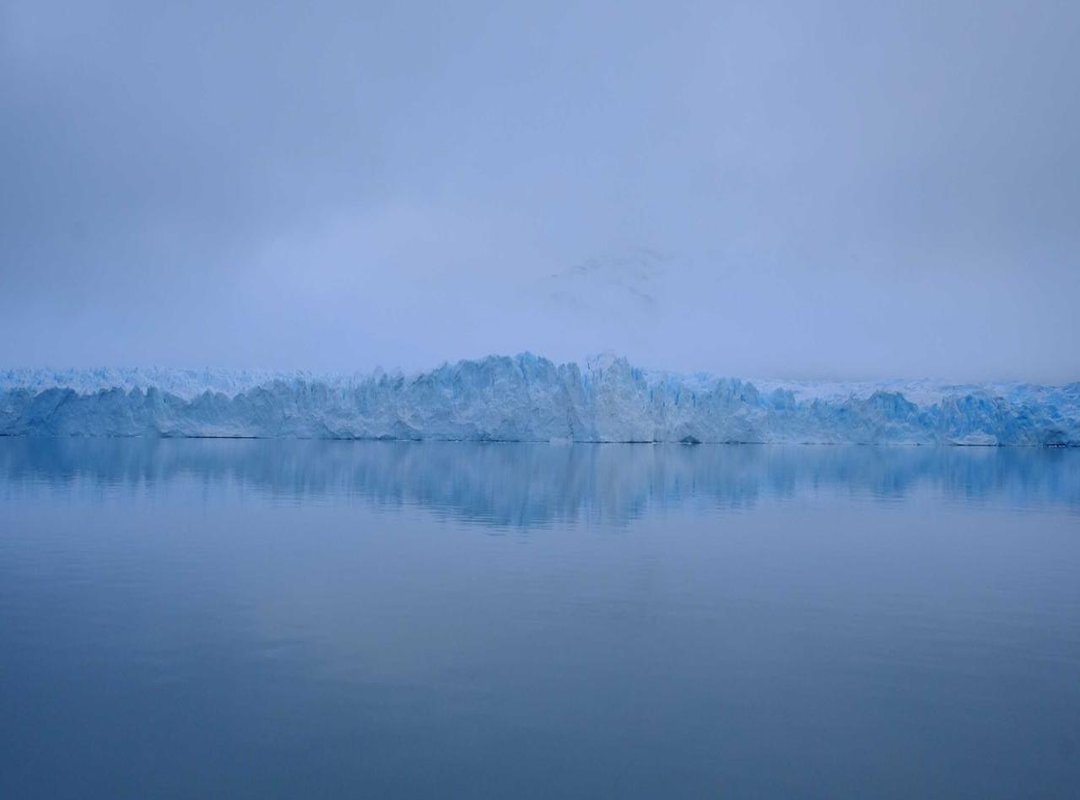 From Minor Detail to Major Debate: Analyzing the Viral Reaction