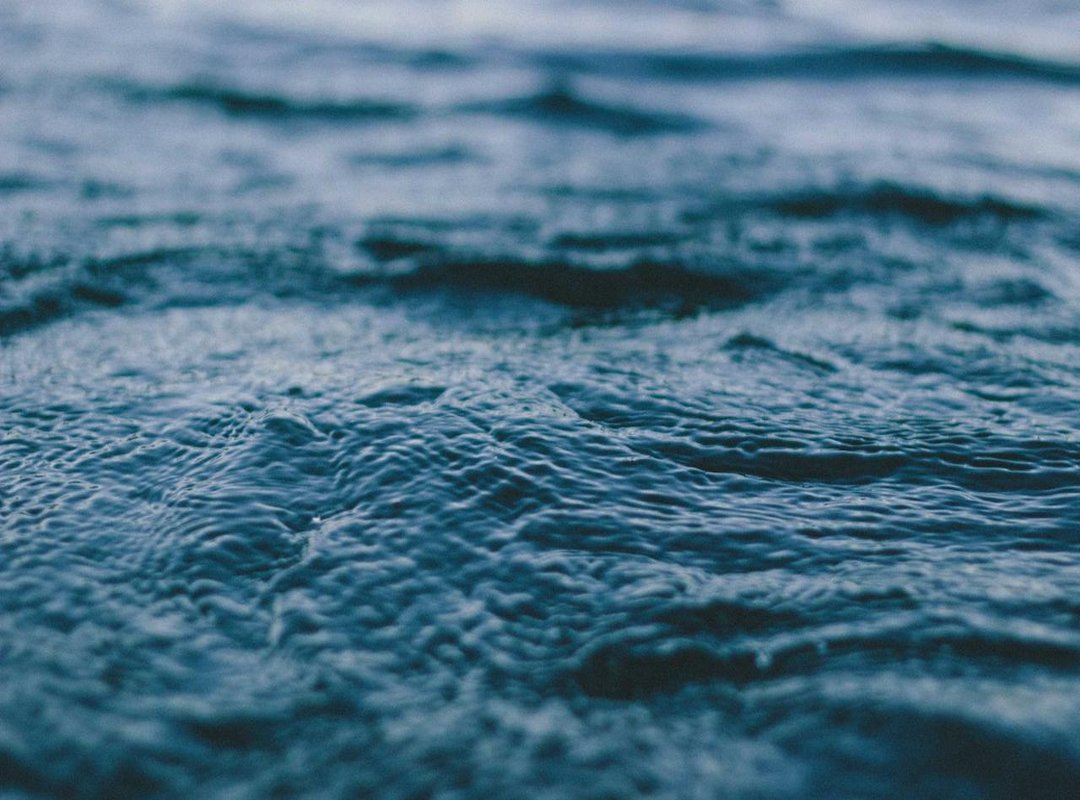 Beyond the Flight: Other Masha Adventures to Discover