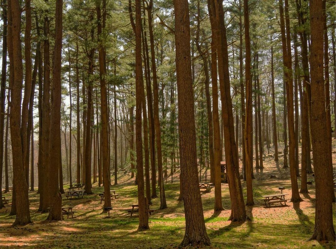 Beyond the Perk: The Real ROI of a B2B Massage Program