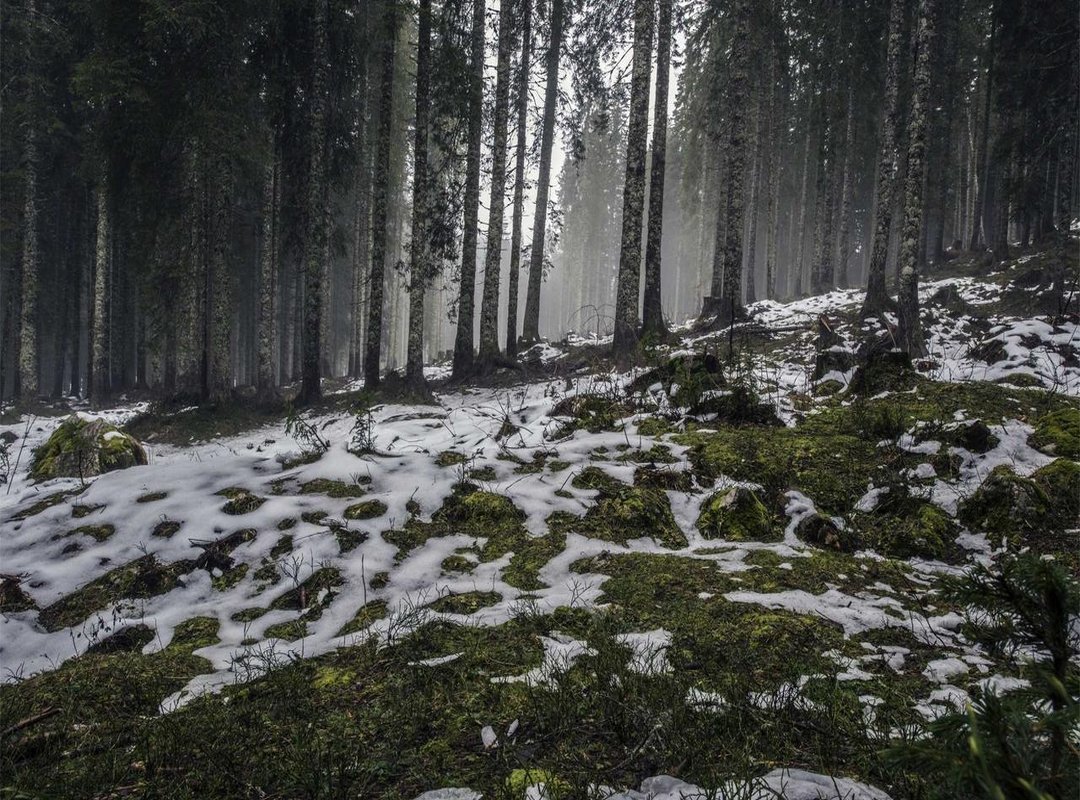 Making Your Choice: Find Your Perfect Summer Look