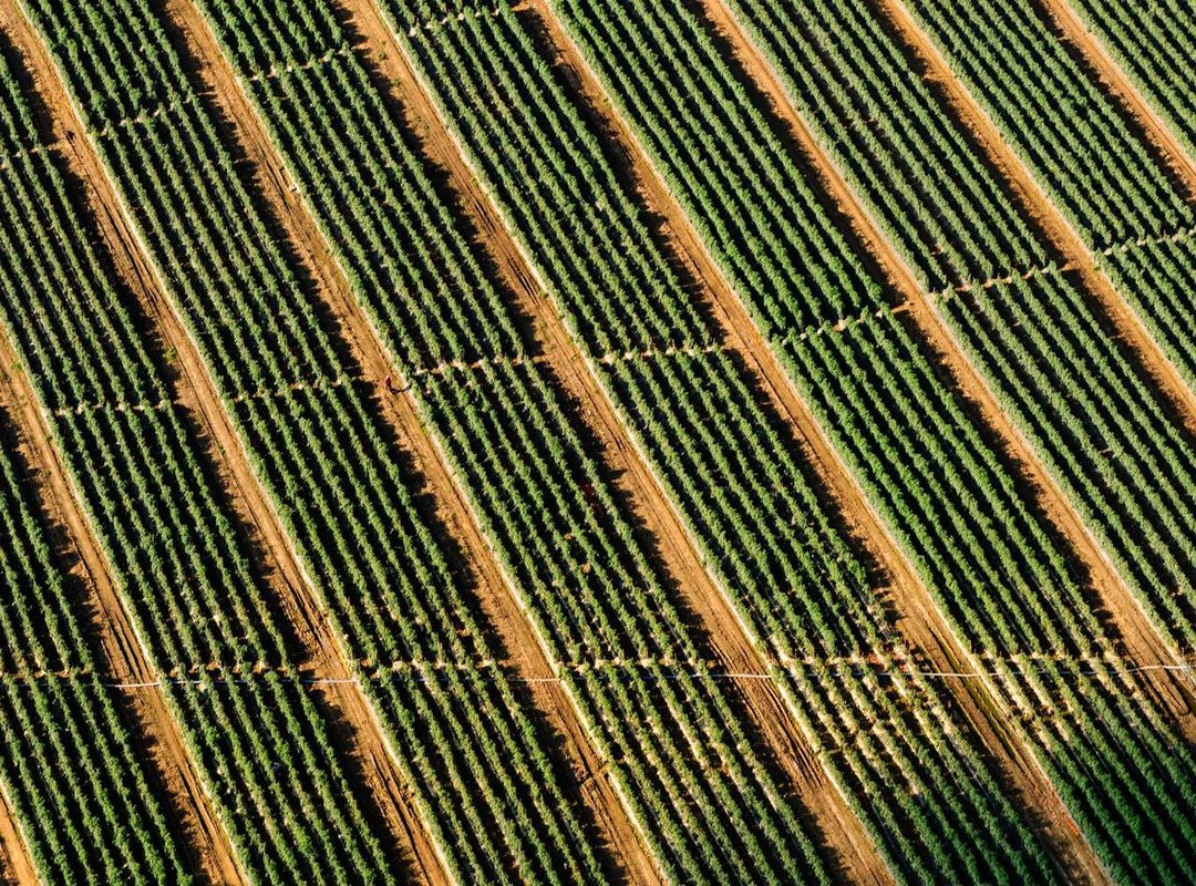 Putting Theory into Practice: Real-World Applications