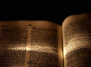 wys meaning in text