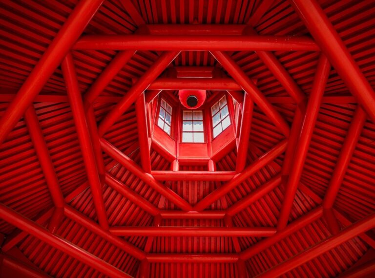 xxvidoe 2024 logo design template